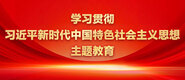 脱衣服操逼外国女人大逼学习贯彻习近平新时代中国特色社会主义思想主题教育_fororder_ad-371X160(2)